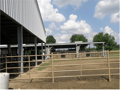 Animal holding areas and waiting areas near arena