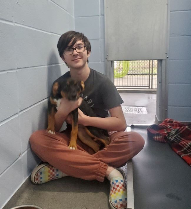 Volunteer with animal 1