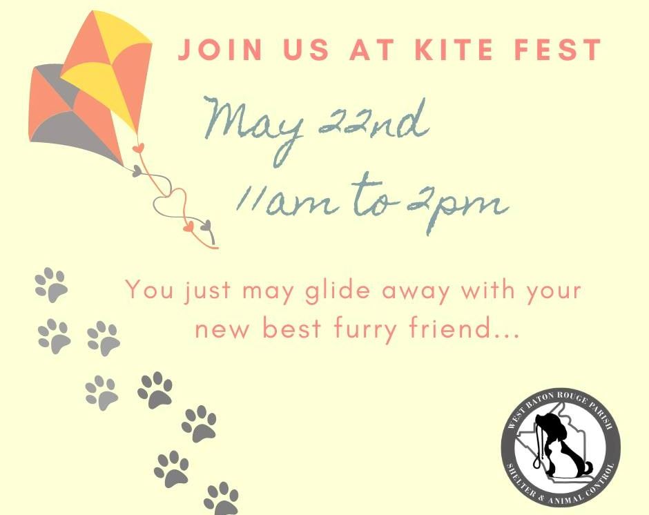kite fest adoption event